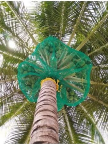 Coconut nets gallary 1