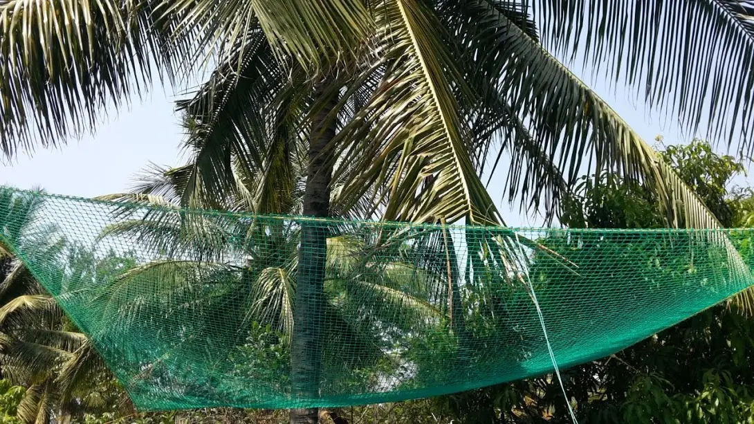 Coconut safety nets 2